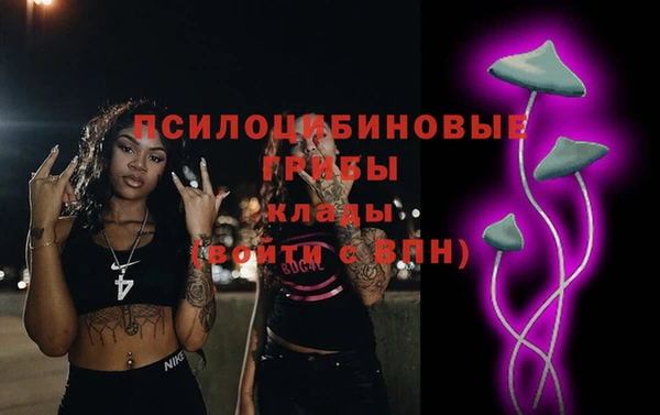 ПСИЛОЦИБИНОВЫЕ ГРИБЫ Аркадак