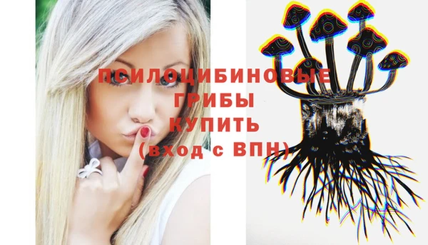 ПСИЛОЦИБИНОВЫЕ ГРИБЫ Аркадак