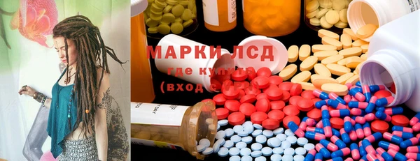 PSILOCYBIN Алзамай
