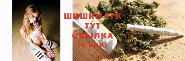 PSILOCYBIN Алзамай