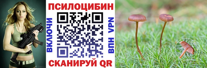 закладка  Строитель  Галлюциногенные грибы MAGIC MUSHROOMS 