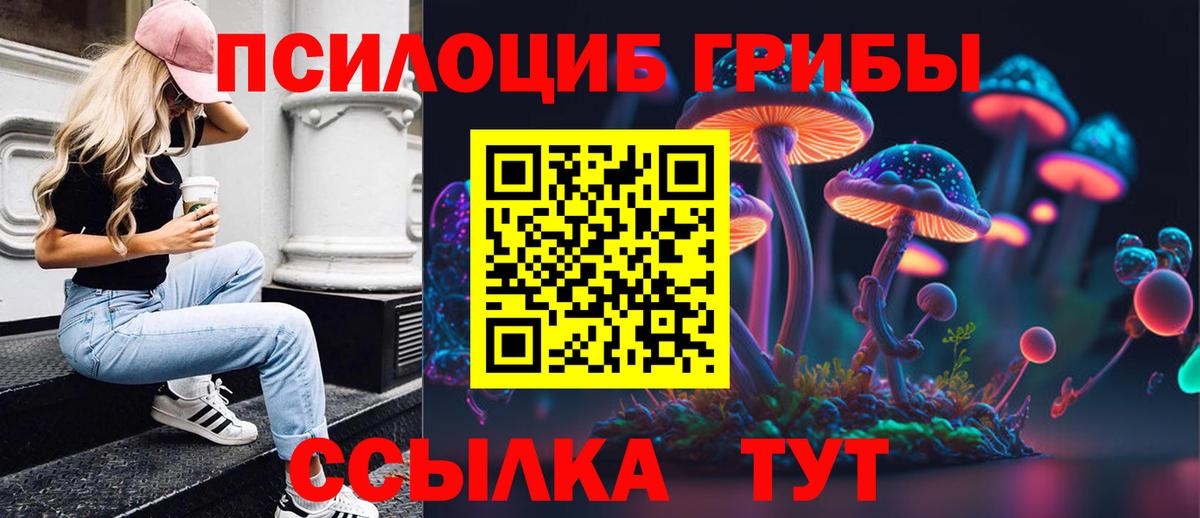 Псилоцибиновые грибы Psilocybine cubensis  Вход с VPN  Строитель  Псилоцибиновые грибы Magic Shrooms 